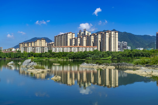 飞来湖湿地公园