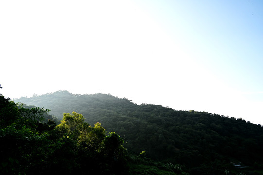 山野