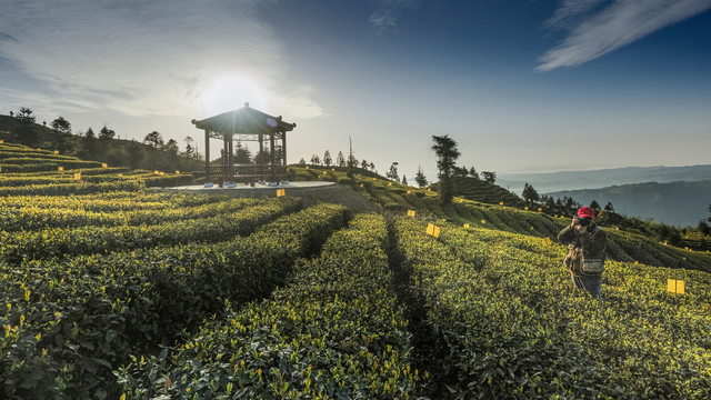 四川宜宾屏山大乘茶山自然景观