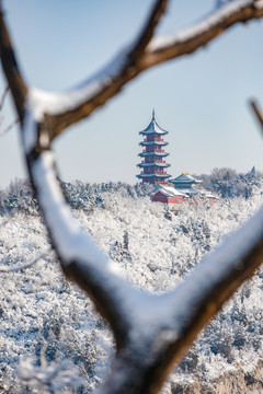 冬天拍摄魁星楼雪景