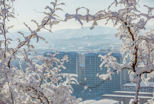 雪后城镇