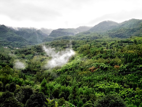 大山云雾飘渺