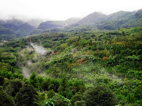 大山云雾飘渺