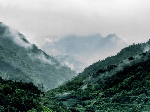 大山云雾飘渺