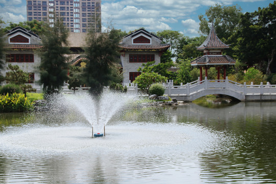 顺峰山公园