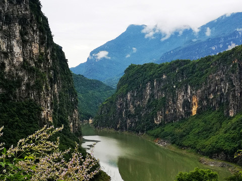 高山河流