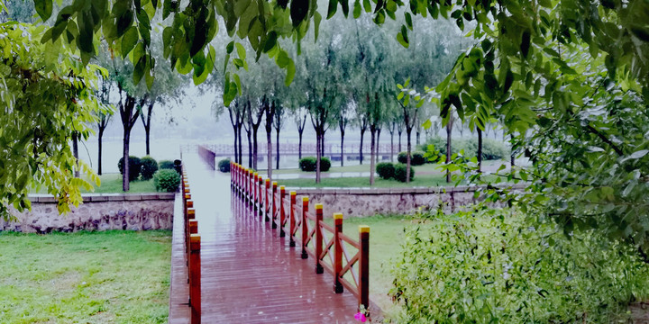 雨天公园栈道