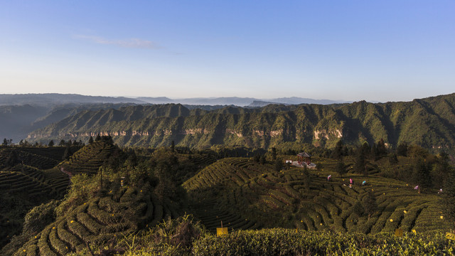 蓝天白云蜿蜒山脉茶山自然风光