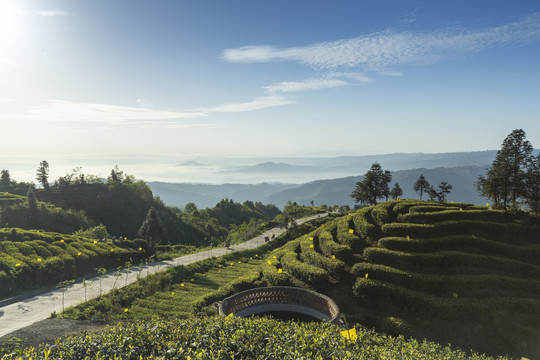 蓝天白云蜿蜒山脉茶山自然风光