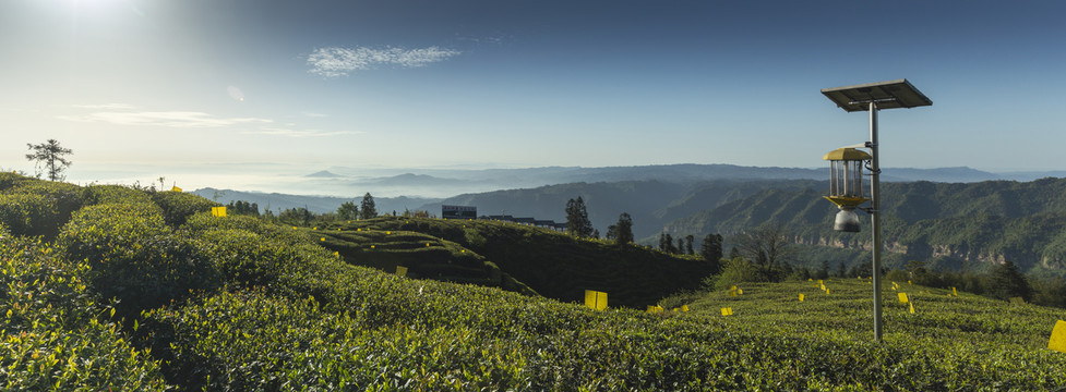 蓝天白云蜿蜒山脉茶山自然风光