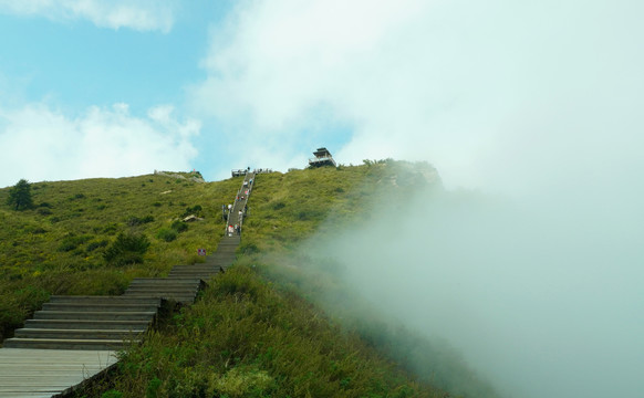 山顶云山雾罩