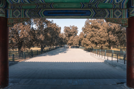 北京天坛风景