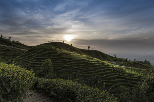 茶山日出自然景观