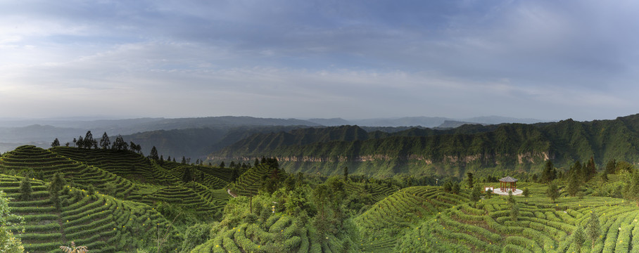 茶山晨曦高山自然风光全景图