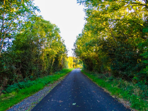 爱尔兰乡村公路