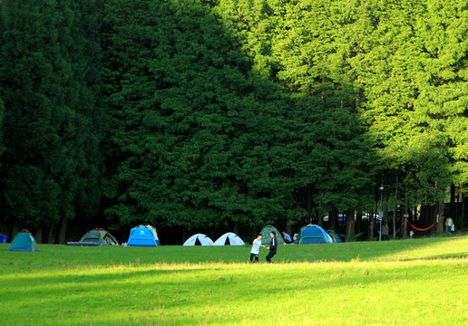 武陵山草原风光