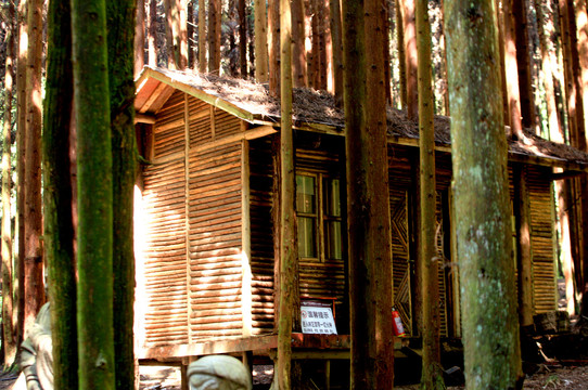 武陵山森林公园木屋