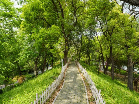 苏州大运河景观带