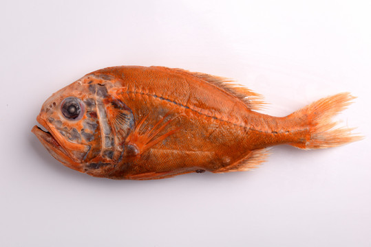 深海红鱼