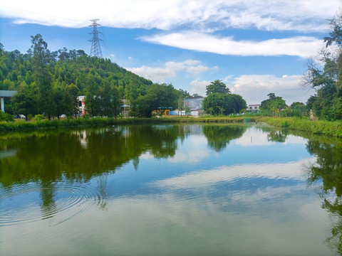 鱼塘风景