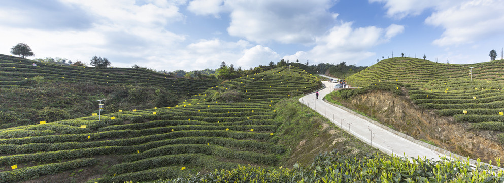 宜宾屏山岩门茶山自然风光全景图