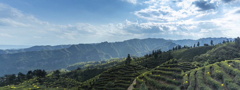 宜宾屏山岩门茶山风光全景图