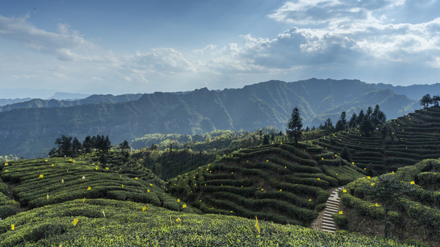 宜宾屏山岩门茶山自然风光