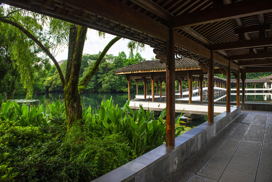 西湖浴鹄湾景区