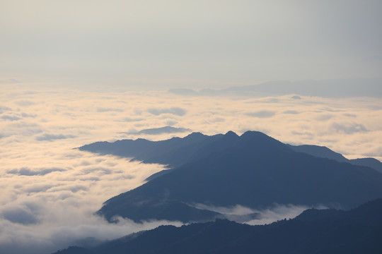 崇义上堡万长山茶园云海