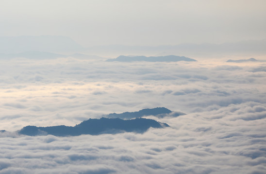 崇义上堡万长山茶园云海