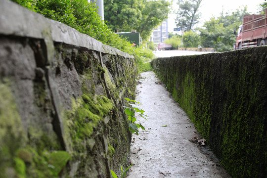 公路边沟