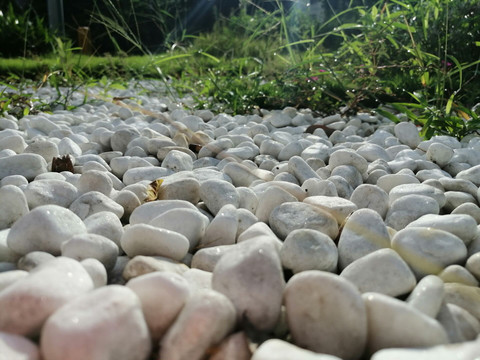 石子与青草