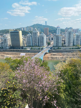 梧州大桥