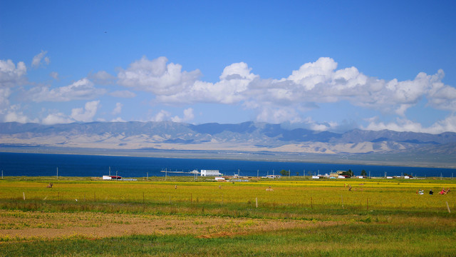 青海湖美景