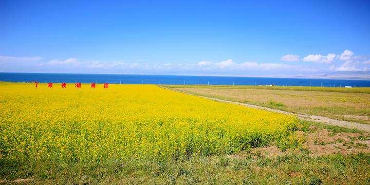 青海湖