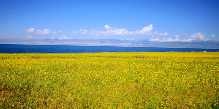 青海湖