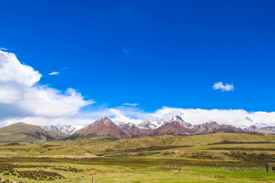 西藏海子山