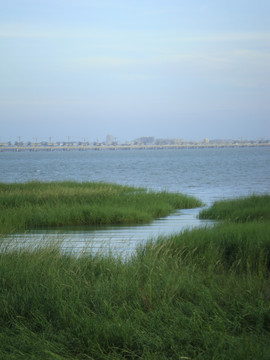 泉州滨海公园风景