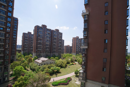 小区绿化