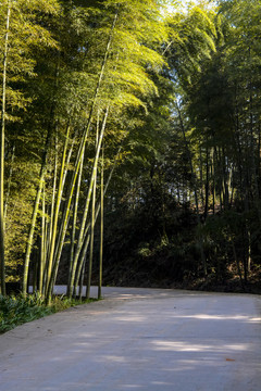 乡村道路