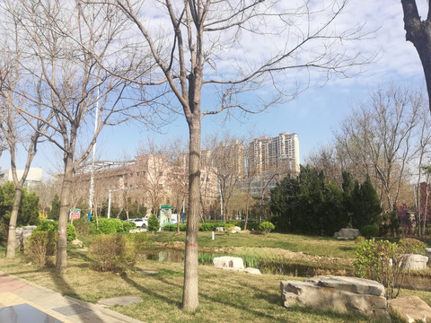 城市高楼