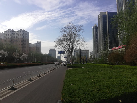 城市高楼