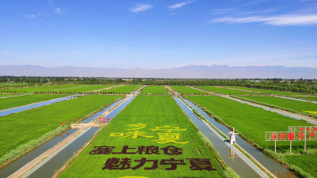 宁夏银川贺兰县稻鱼空间