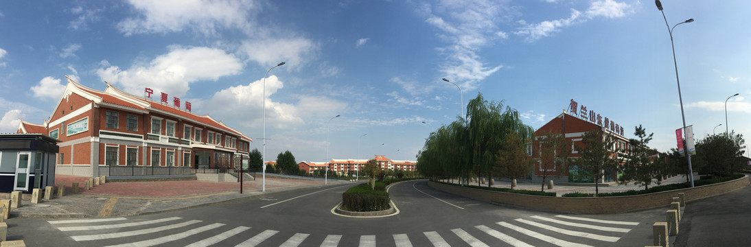 宁夏银川市西夏区闽宁镇街景