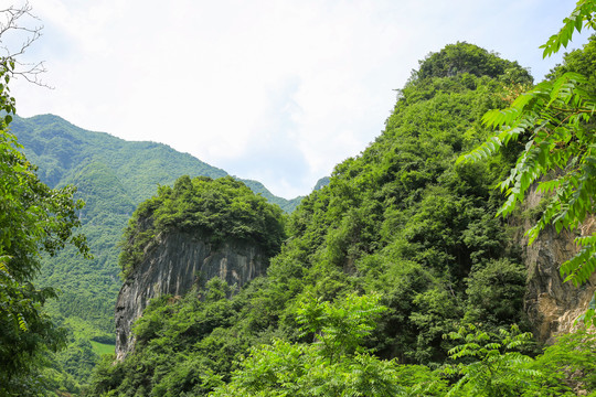 桃源大山九
