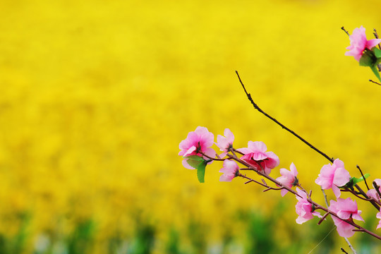 春天的桃花仿真花