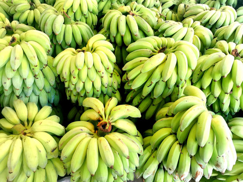 香蕉芭蕉果