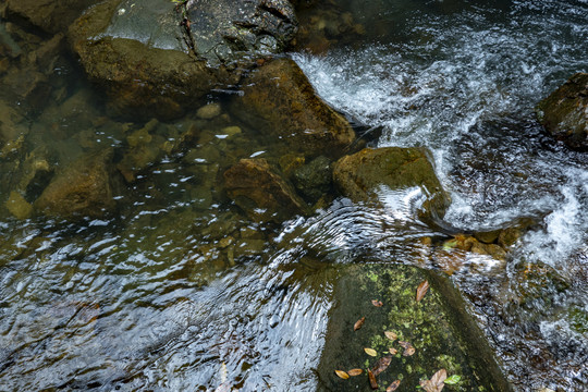 石上溪水流