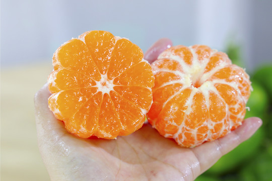 青皮蜜橘