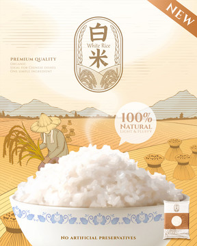 美味白米饭广告海报 农地稻田线条风背景
